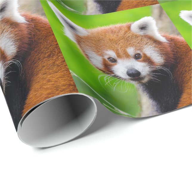 Red Panda Presentpapper (Rullad Hörn)