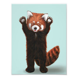 Red Panda Print Fototryck