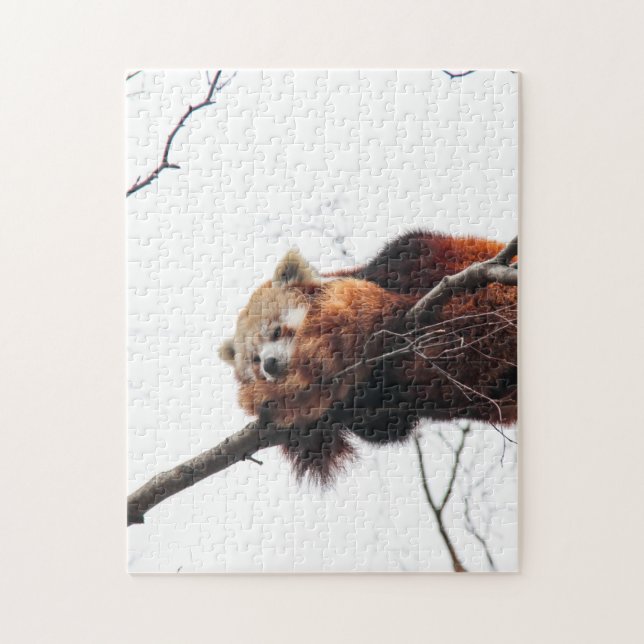 Red Panda Puzzle / Jigszle Pussel (Vertikal)