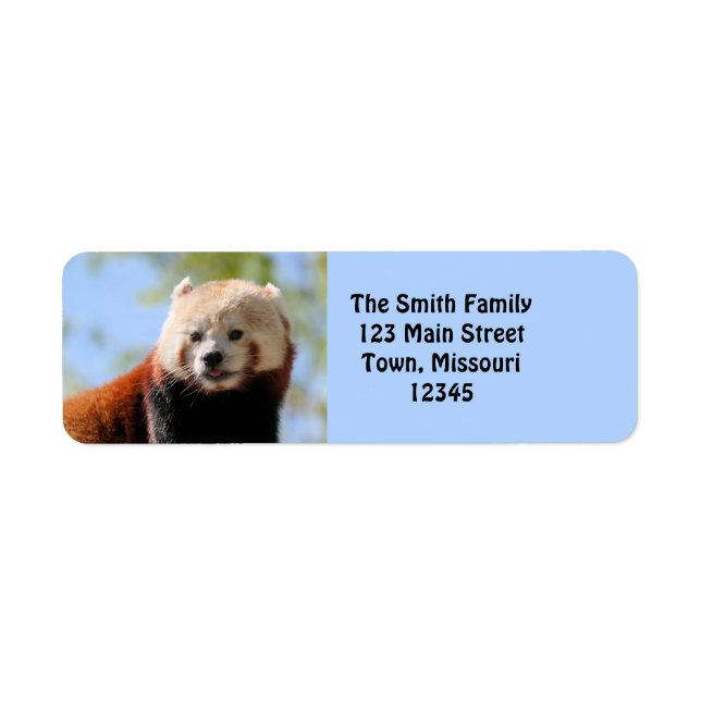 Red Panda Returadress Etikett (Framsidan)