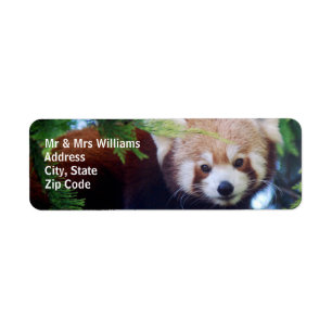 Red Panda Returadress Etikett