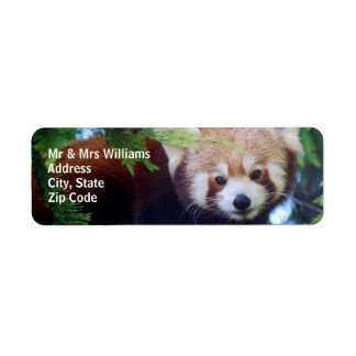 Red Panda Returadress Etikett