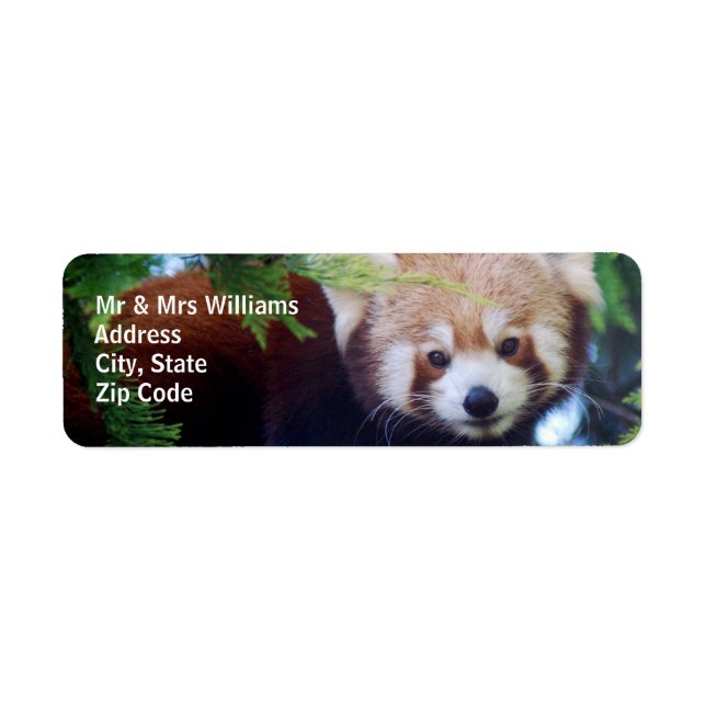 Red Panda Returadress Etikett (Framsidan)