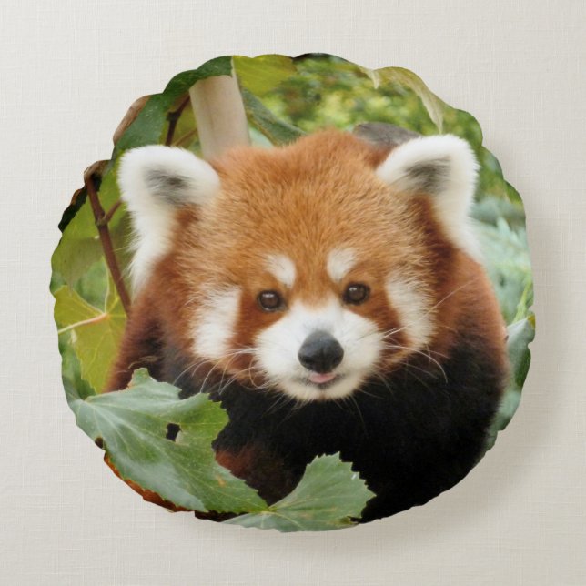 Red Panda Rund Kudde (Framsidan)