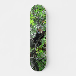 Red Panda Skateboard Bräda 21,5 Cm