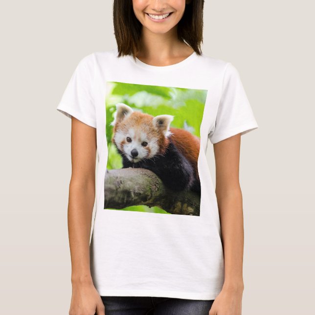 Red Panda T Shirt (Framsida)