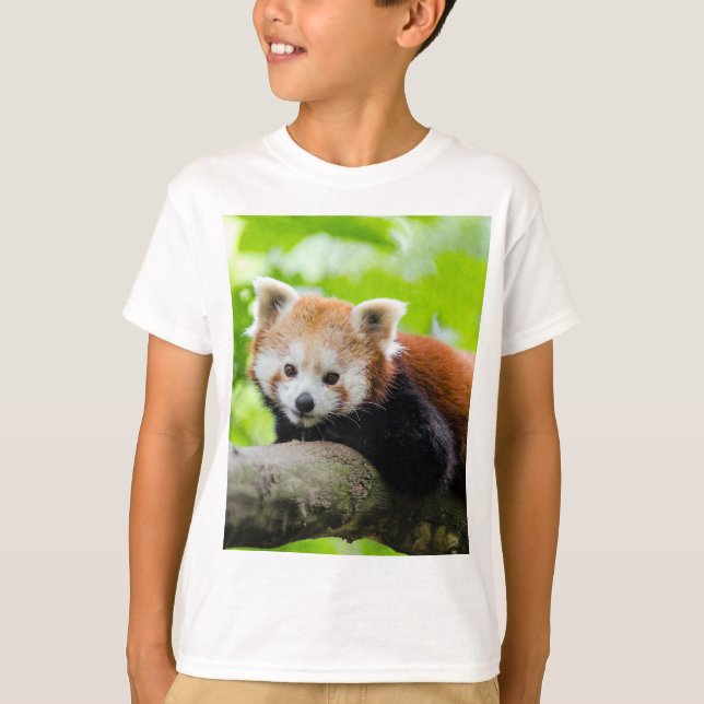 Red Panda T Shirt (Framsida)
