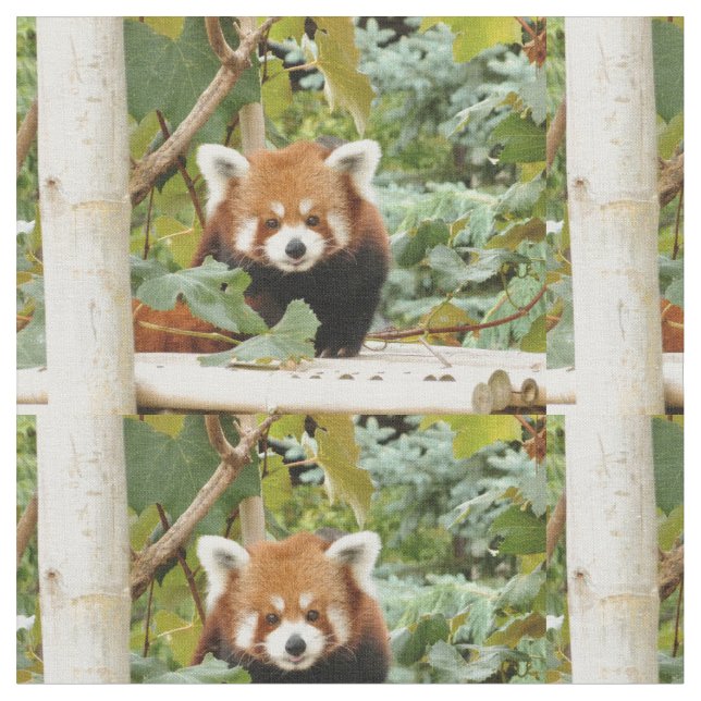 Red Panda Tyg (Närbild)