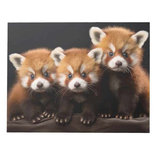 Red Panda Vild Animal Porträtt Nature Beauty Anteckningsblock (Framsida)