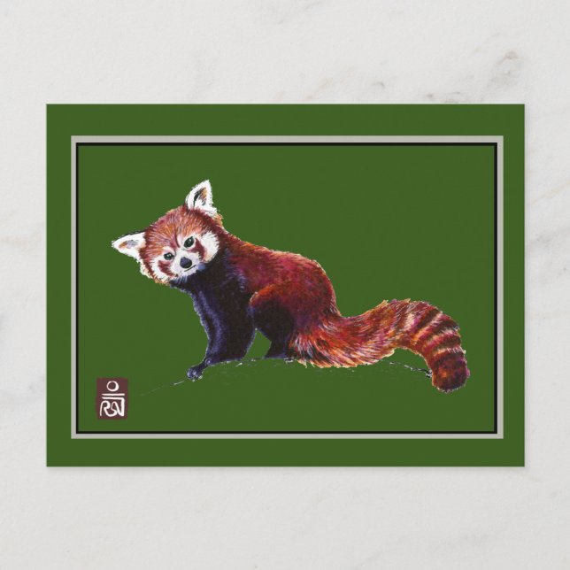 Red Panda Vykort (Framsida)