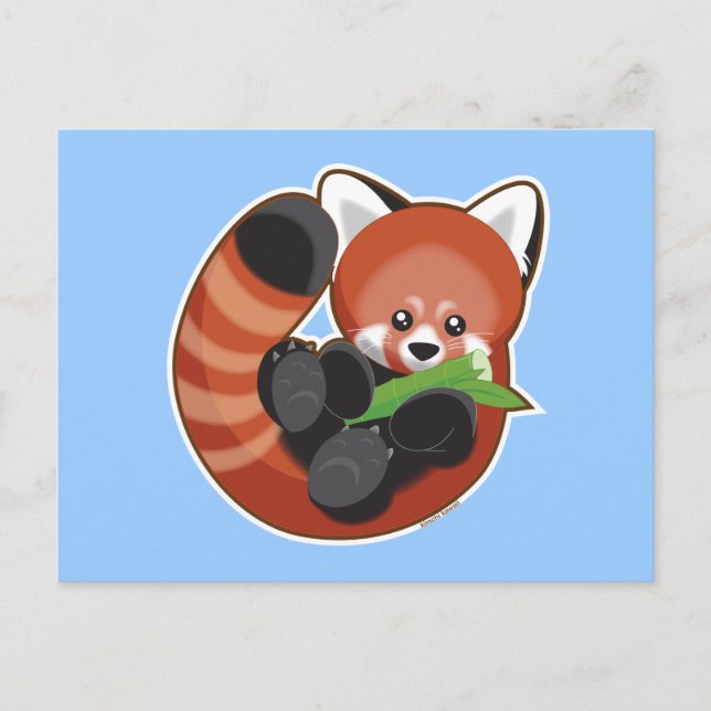 Red Panda Vykort (Framsida)