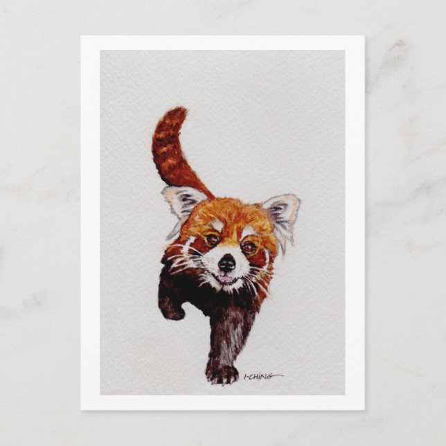 Red Panda Vykort (Framsida)