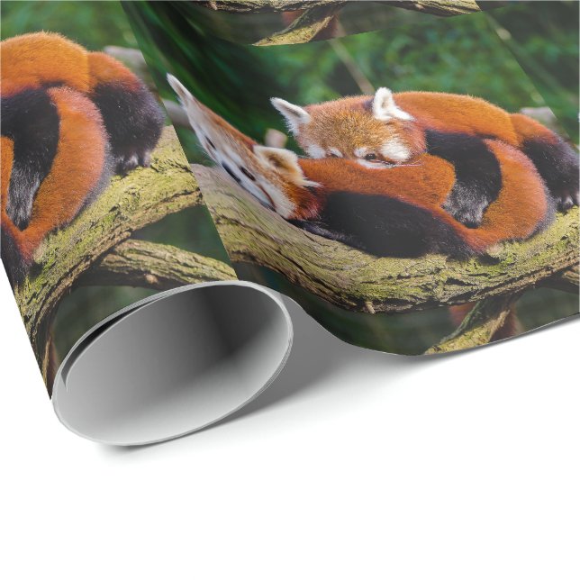 Red Pandas Presentpapper (Rullad Hörn)