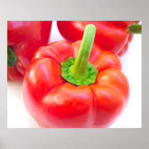 Red paprika poster