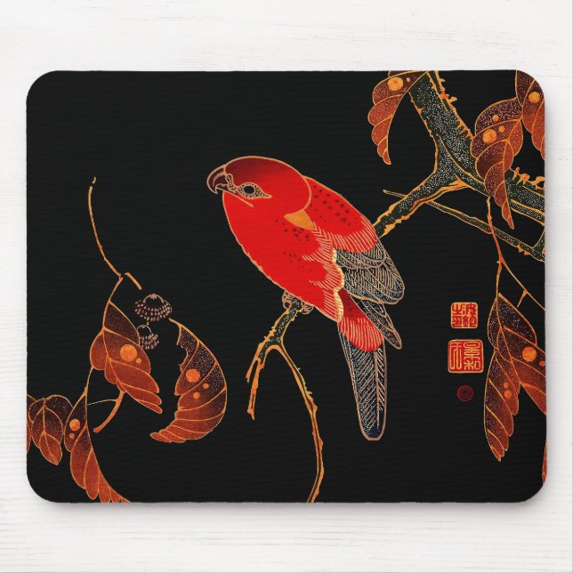 Red Parrot Fine Art Musmatta (Framsidan)
