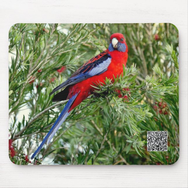 Red Parrot Mousepad Musmatta (Framsidan)