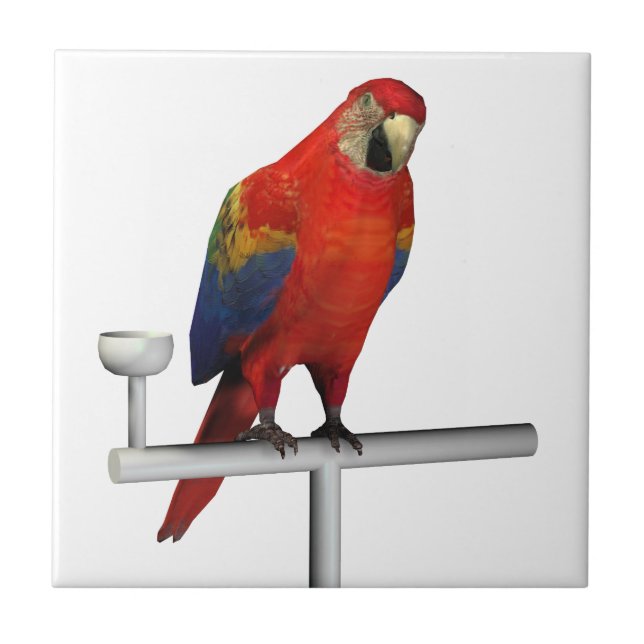 Red Parrot Scarlet Macaw Kakelplatta (Framsidan)