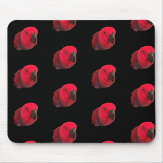 RED PARROTS MOUSEPAD Black Musmatta