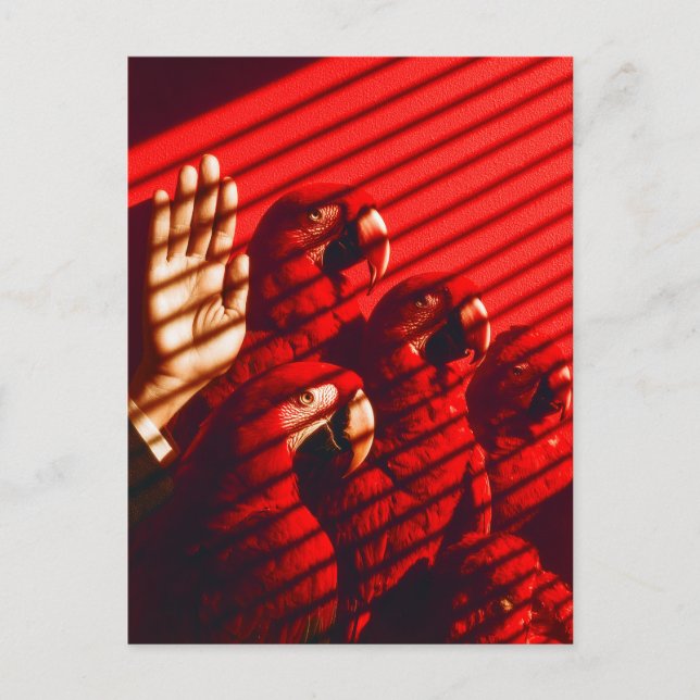 Red Parrots och en hand Vykort (Framsida)
