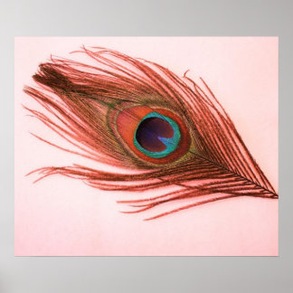Red Peacock Feather Poster