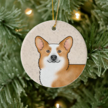 Red Pembroke Welsh Corgi Cute Hund Head Porträtt