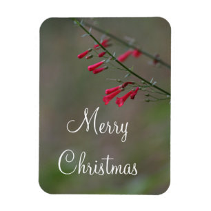 Red penstemon God jul Magnet