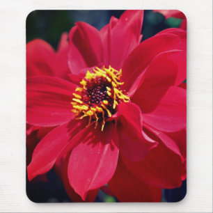 Red Peony Flower Musmatta