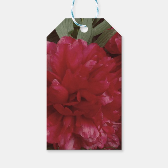 Red Peony Flower Photo Gift Märkre Presentetikett (Framsidan)