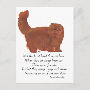 Red Persian Cat Rainbow Bridge Vykort