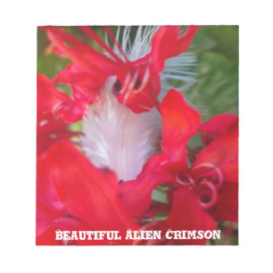 Red Petal Feather Art Skriv ut Anteckningsblock