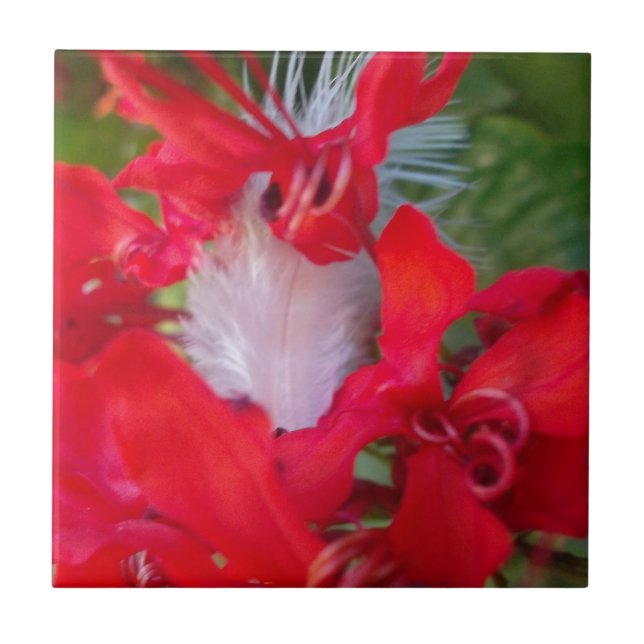 Red Petal Feather Art Skriv ut Kakelplatta (Framsidan)