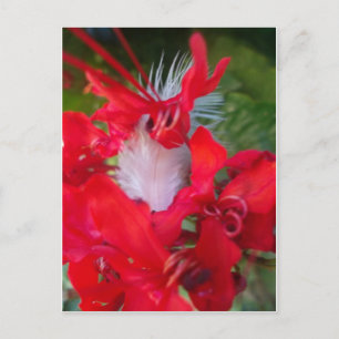 Red Petal Feather Art Skriv ut Vykort