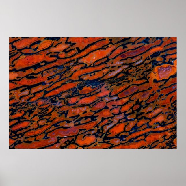 Red Petrified dinosauer bone Poster (Framsidan)