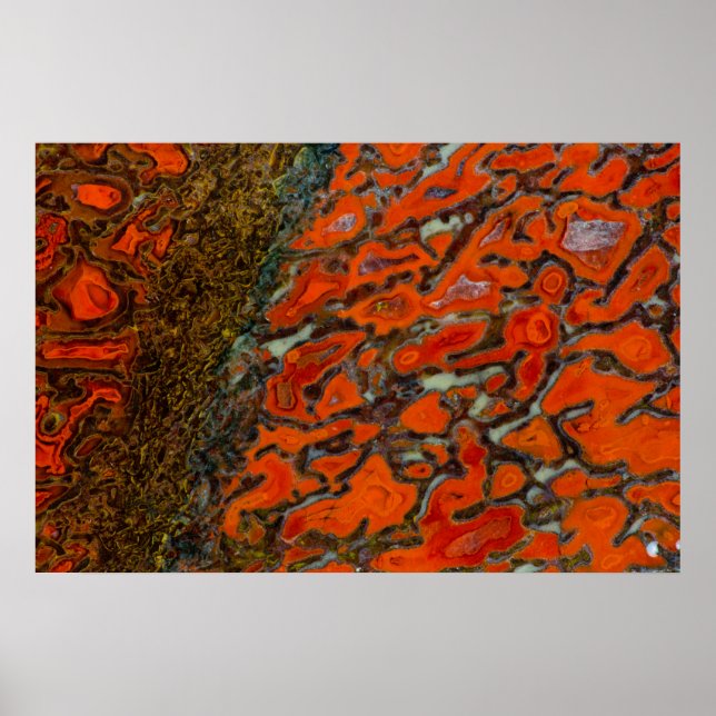 Red Petrified Dinosaur Bone Poster (Framsidan)