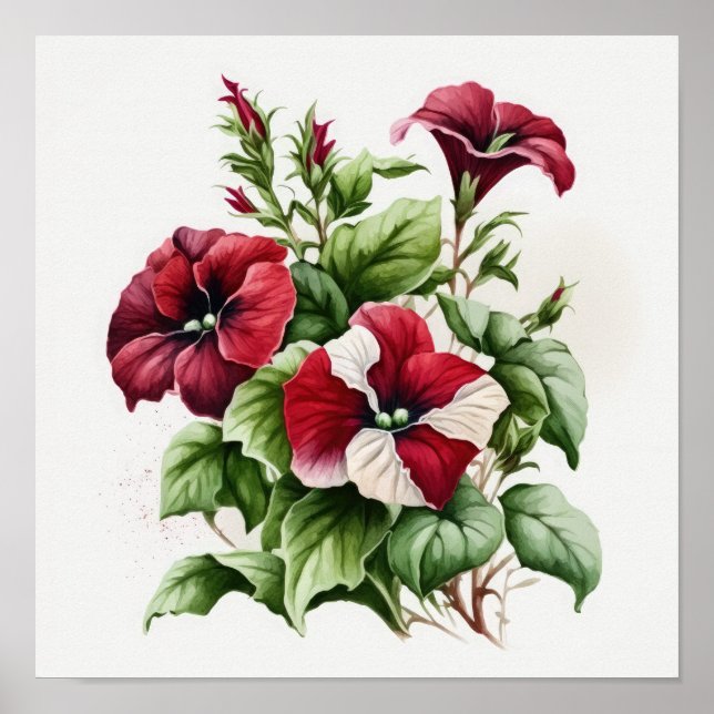 Red Petunias Flower Art Print Poster (Framsidan)