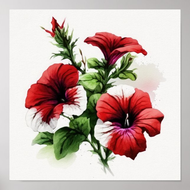 Red Petunias Flower Art Print Poster (Framsidan)