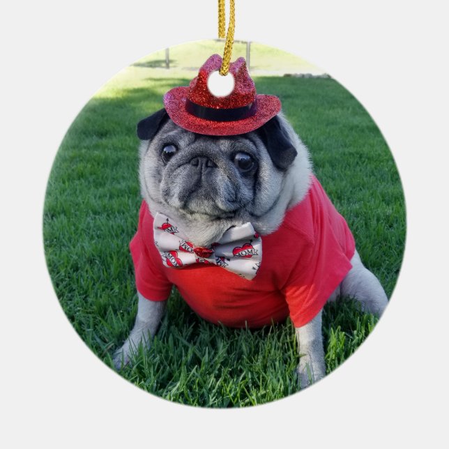 Red Pickles Ornament (Framsidan)