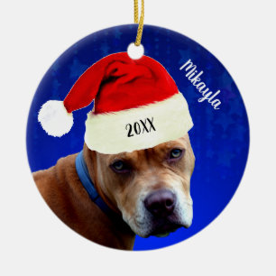 Red Pit Bull med jultomten jul  Julgransprydnad Keramik