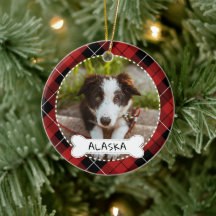Red Play Bone Hund Photo & Namn
