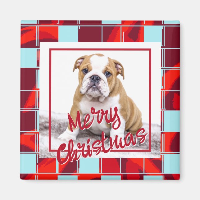 Red Play Bulldog Hund Photo God jul Magnet (Framsidan)