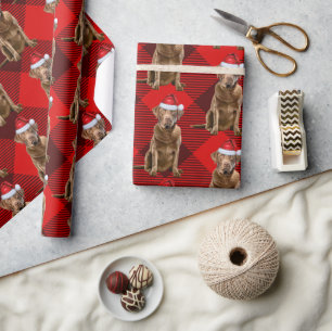 Red Play Chesapeake Retriever Santa Hund jul Presentpapper