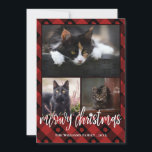 Red Play Meowy jul Photo Collage Julkort<br><div class="desc">Julfotokort med tre foton inuti ett tryckt rött pläterat ram med en dekorerad buffelkontroll mönster. Moggranjulen är skriven i ett charmerande skript med en papp för i.</div>