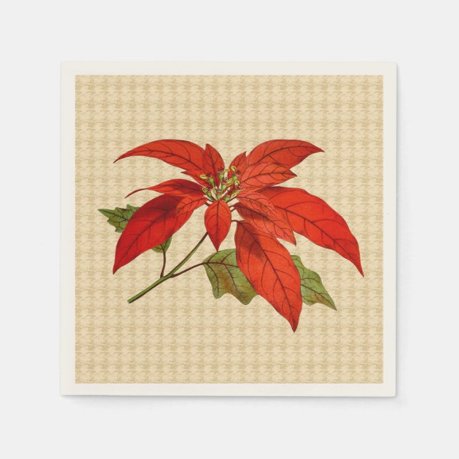 Red Poinsettia Ecru Standard Cocktail Napkin Pappersservett (Framsidan)