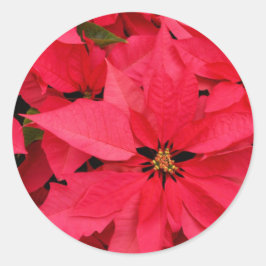 Red Poinsettia Flowers Blommigt Holiday Greetings Runt Klistermärke