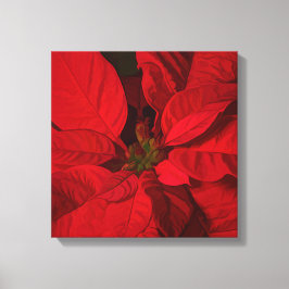 Red Poinsettia-Helgdagar Canvastryck