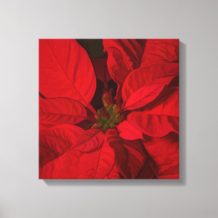 Red Poinsettia-Helgdagar Canvastryck