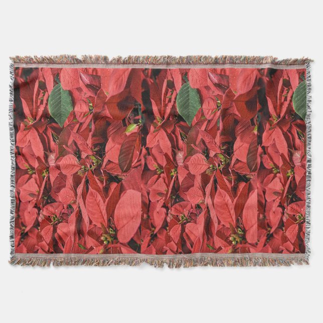 Red Poinsettia jul - Helgdag Blanket Throw Filt (Framsidan)