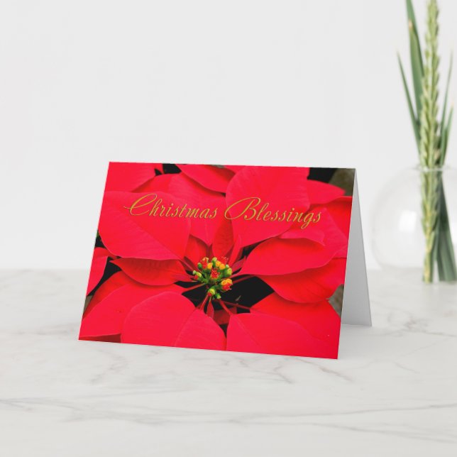 Red Poinsettia jul Helgkort (Framsida)