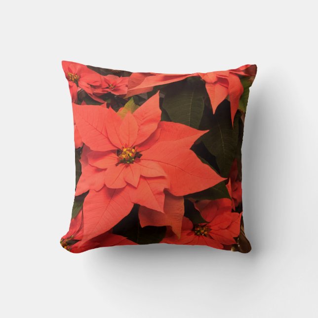 Red Poinsettia jul PIllow Helgdag Decor Kudde (Framsida)