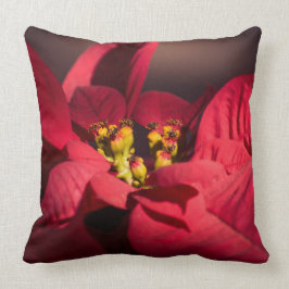 Red poinsettia julstjärnor kudde